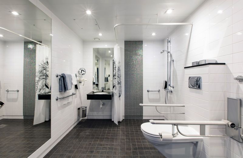 Contemporary Shower Features